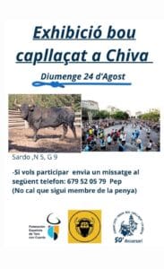Chiva